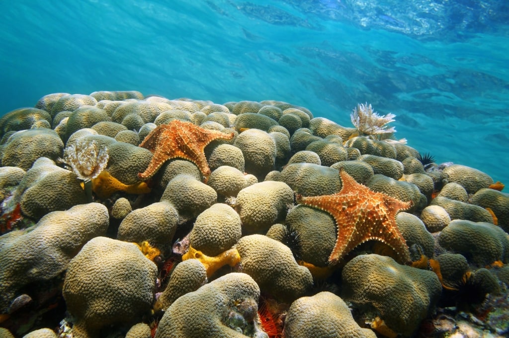 View of Arashi Reef, Aruba