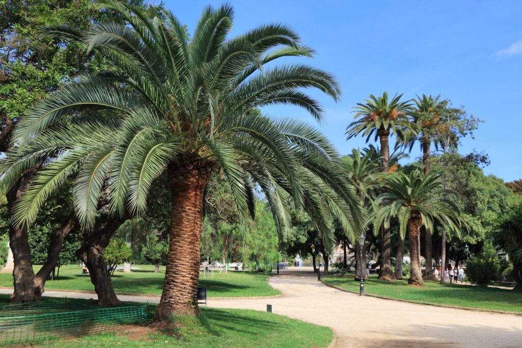 Lush landscape of Ciutadella Park, Barcelona