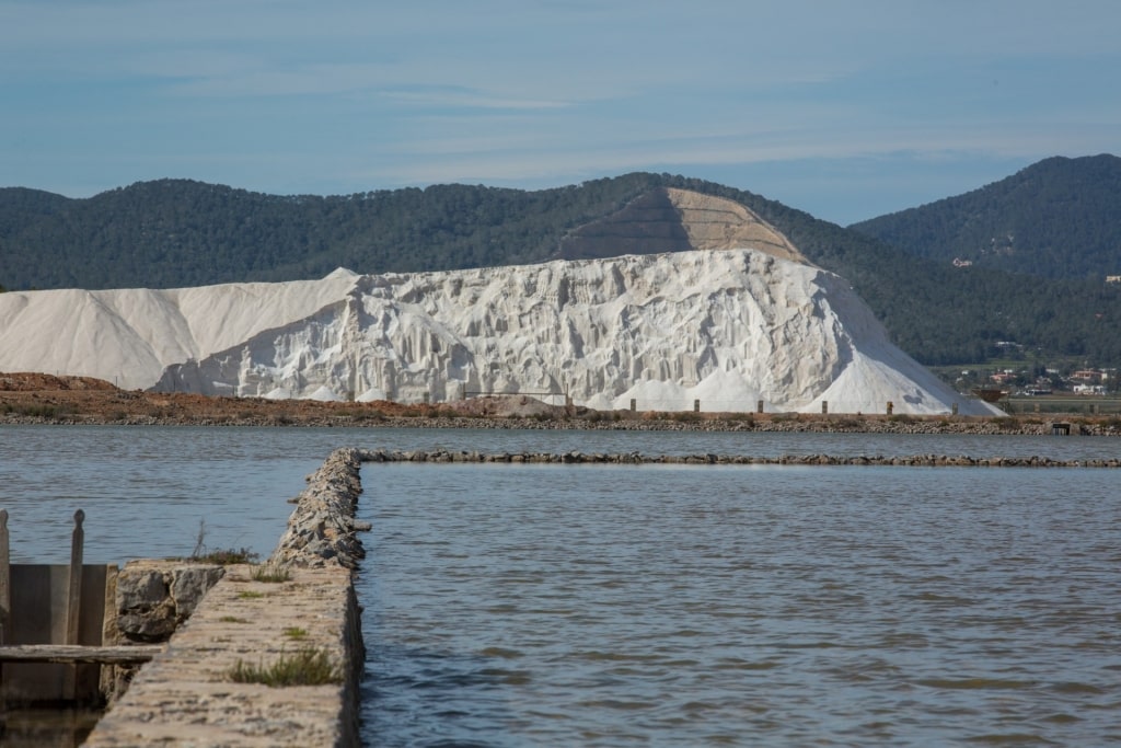 Salt flats of Ses Salines Natural Park