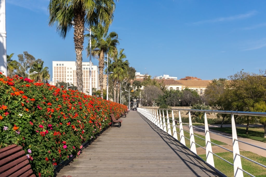 Bike trail in Turia Gardens, Valencia