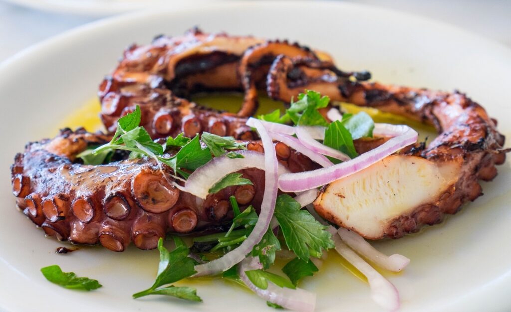 Plate of Octopus