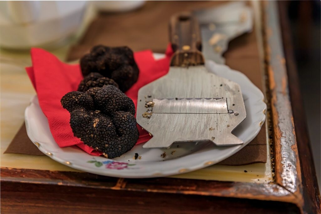 Plate of Black truffles