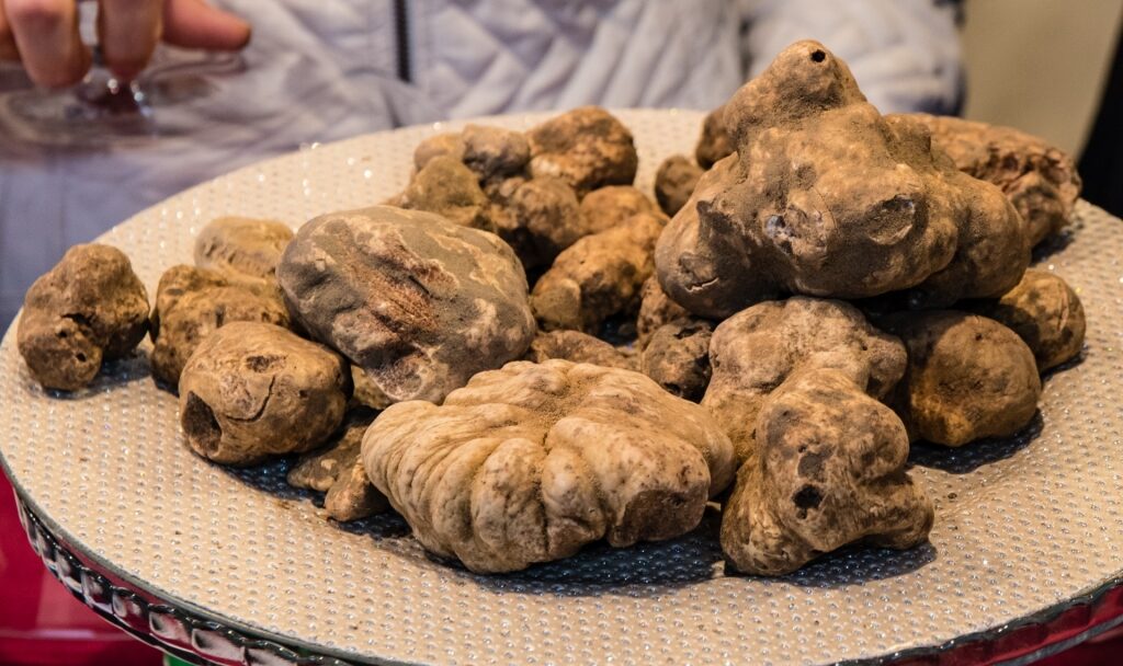 Plate of White truffles