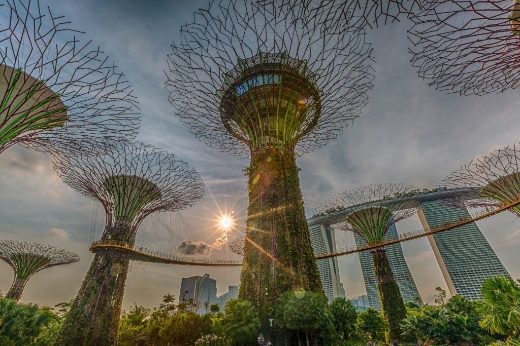 View in Gardens by the Bay