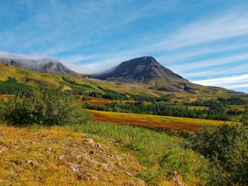 Lush landscape of Mount Esja