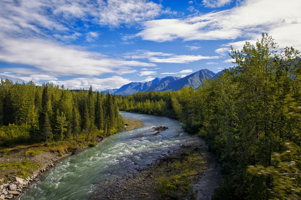 Landscape of Chulitna River, Talkeetna