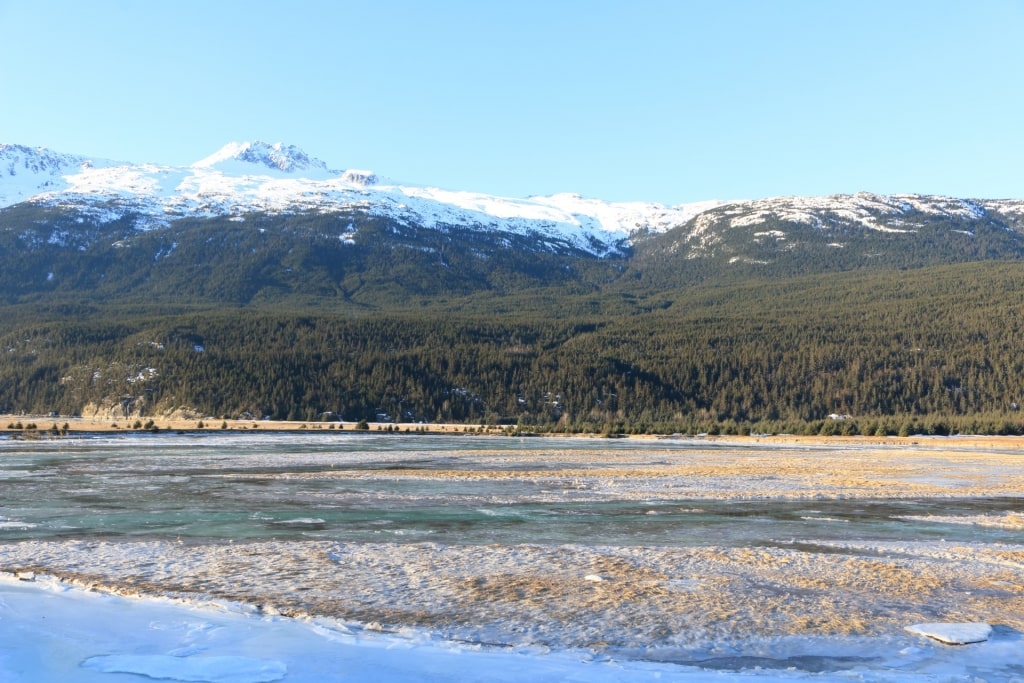 Icy landscape of Taiya River, near Skagway