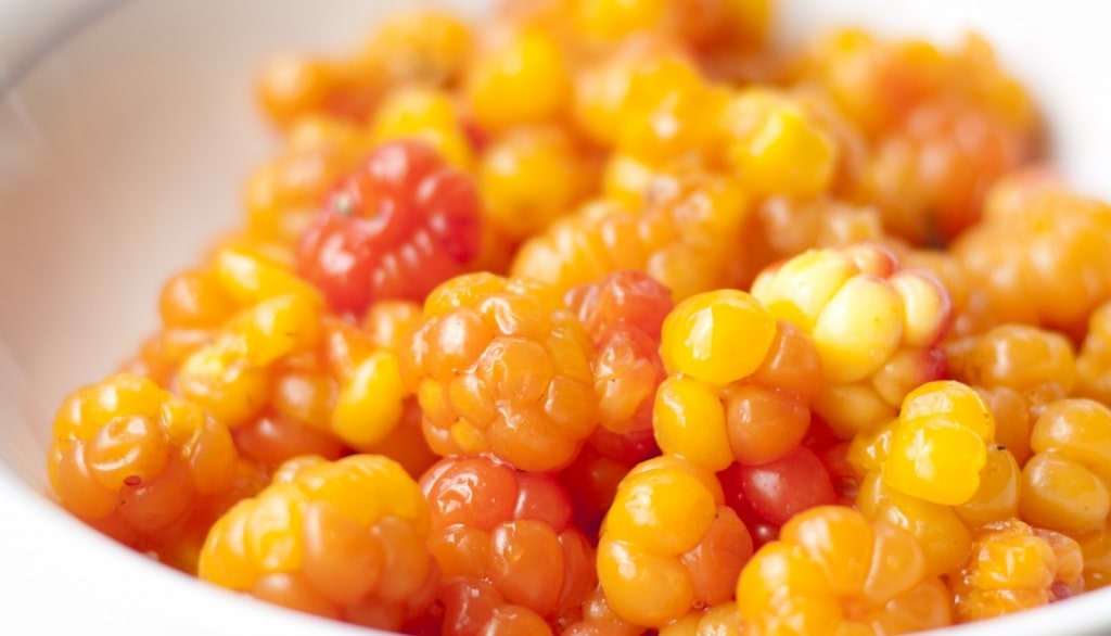 Closeup view of Cloudberries