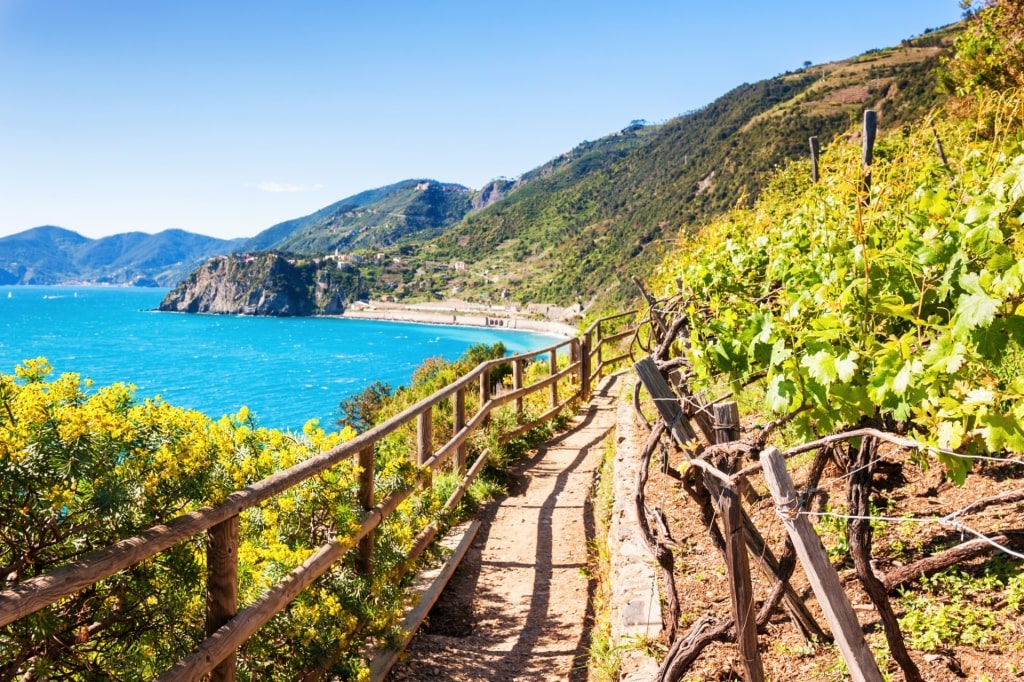 Trail in Cinque Terre National Park