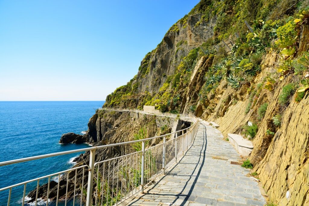 Trail of Via Dell'Amore, Cinque Terre National Park