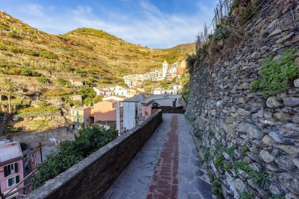 Stone walls along Cinque Terre National Park