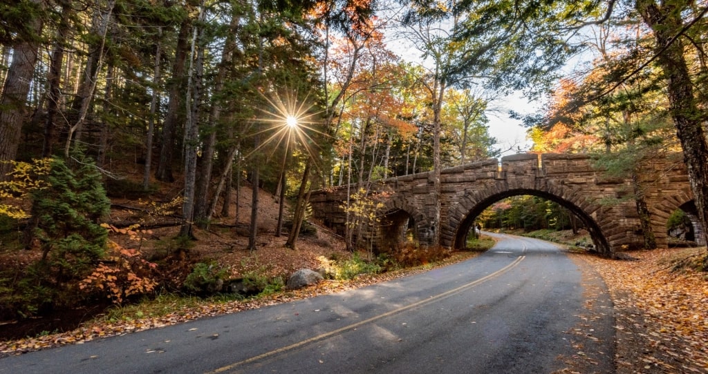 Bridge in Acadia National Park