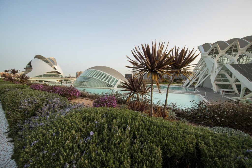 Unique architecture of City of Arts and Sciences in Valencia, Spain