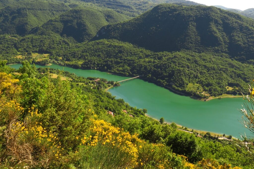 Aerial view of Monte Navegna e Monte Cervia Nature Reserve