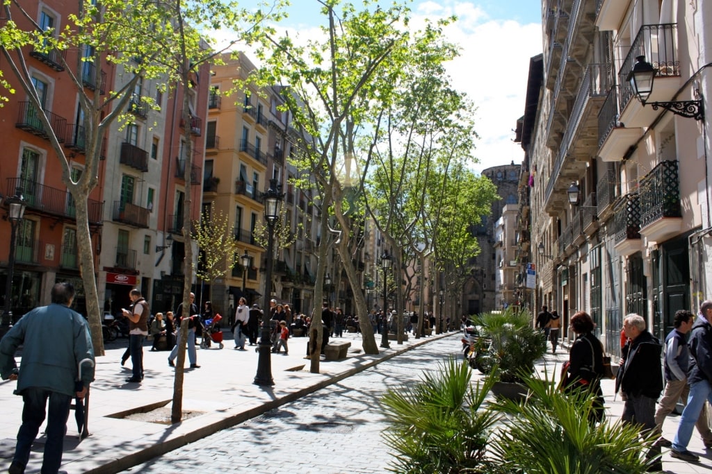 Street view of Passeig del Born