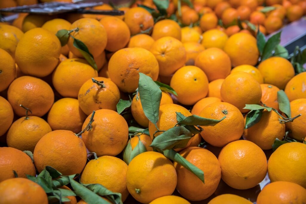 Oranges in Valencia
