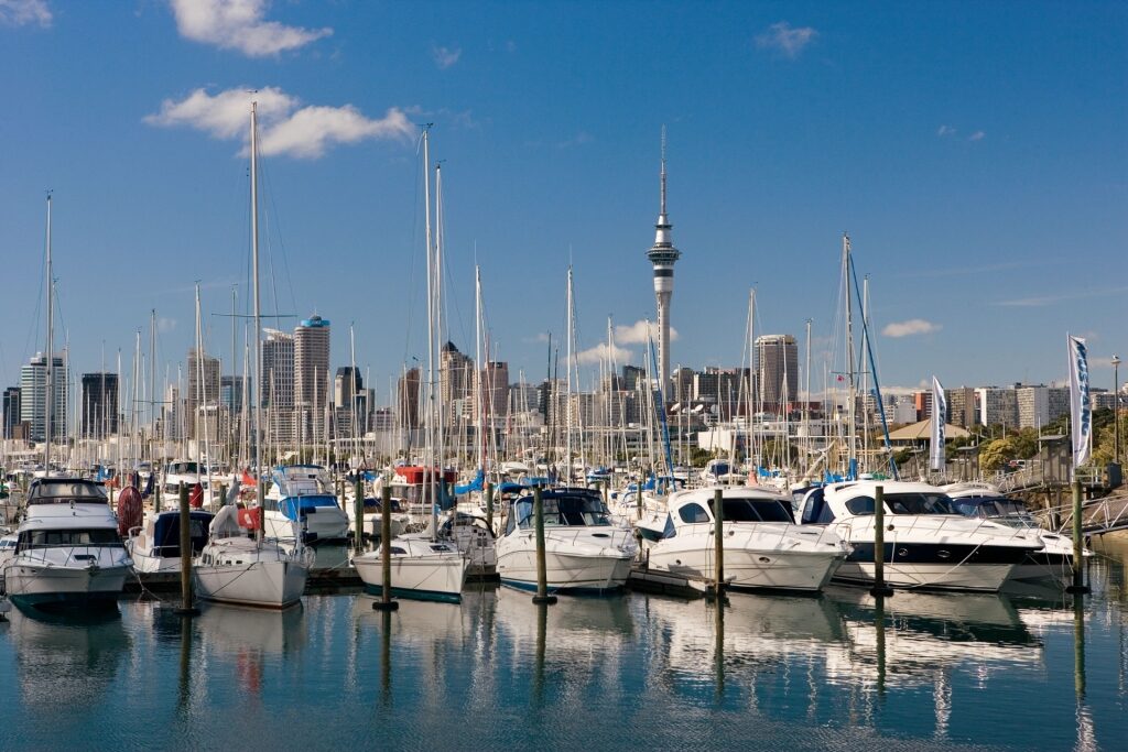 Waterfront of Auckland