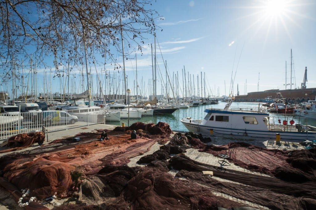 Boats lined up in Palma de Mallorca, Spain