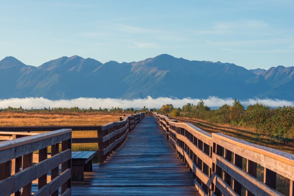 Visit Anchorage Coastal Wildlife Refuge, one of the best things to do in Anchorage