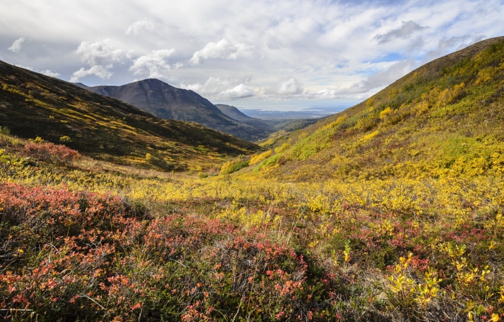 View while hiking in Chugach State Park