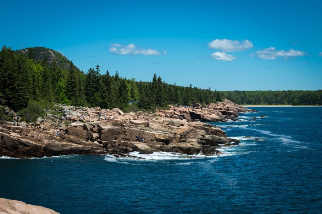 Acadia National Park, one of the most beautiful forests in the world