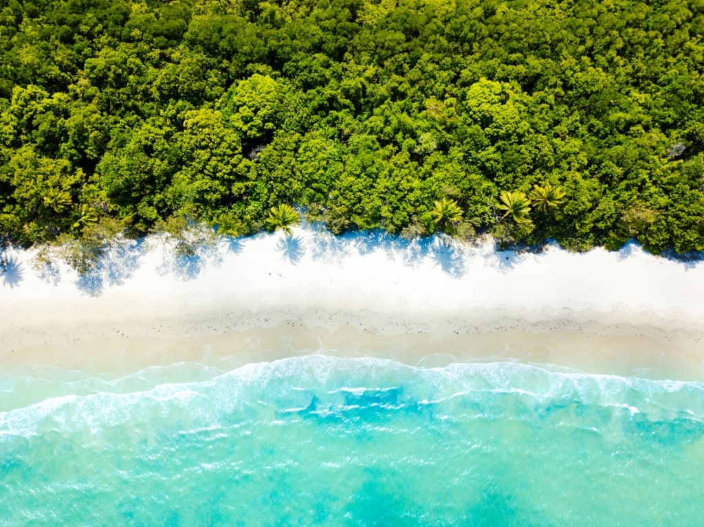 Aerial view of Cape Tribulation Beach, Australia