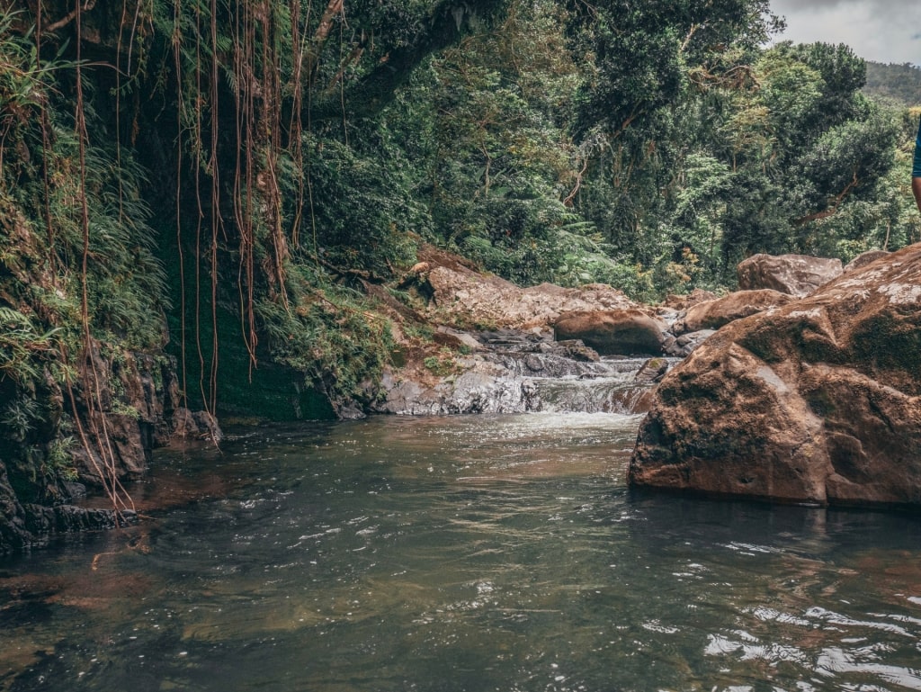 River of El Angelito