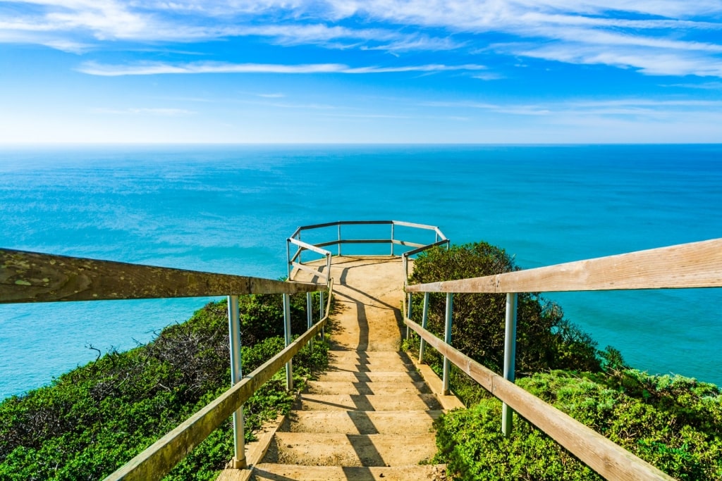 Muir Beach lookout in California