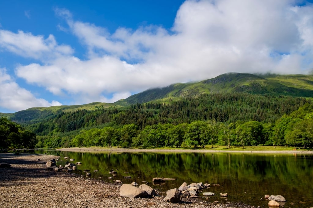 Lush landscape of The Great Trossachs Forest, Scotland