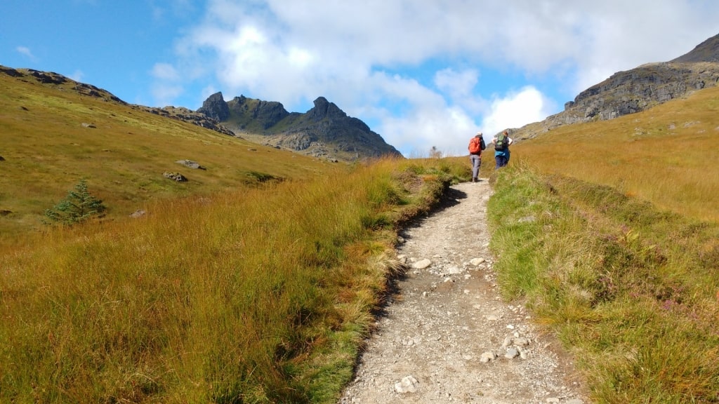 Trail in the Great Trossachs Forest, Scotland