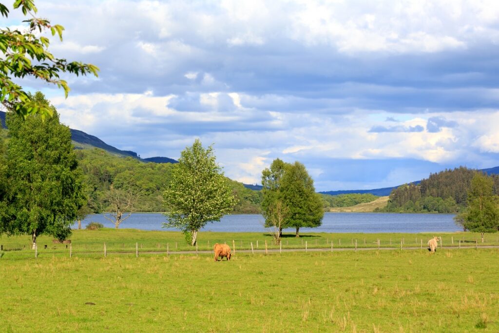 View of Loch Achray