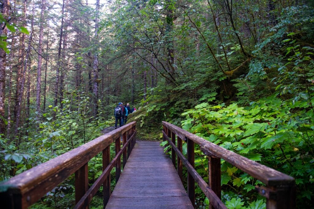 People hiking in Tongass National Forest, Alaska