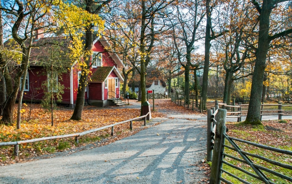 Beautiful landscape of Skansen