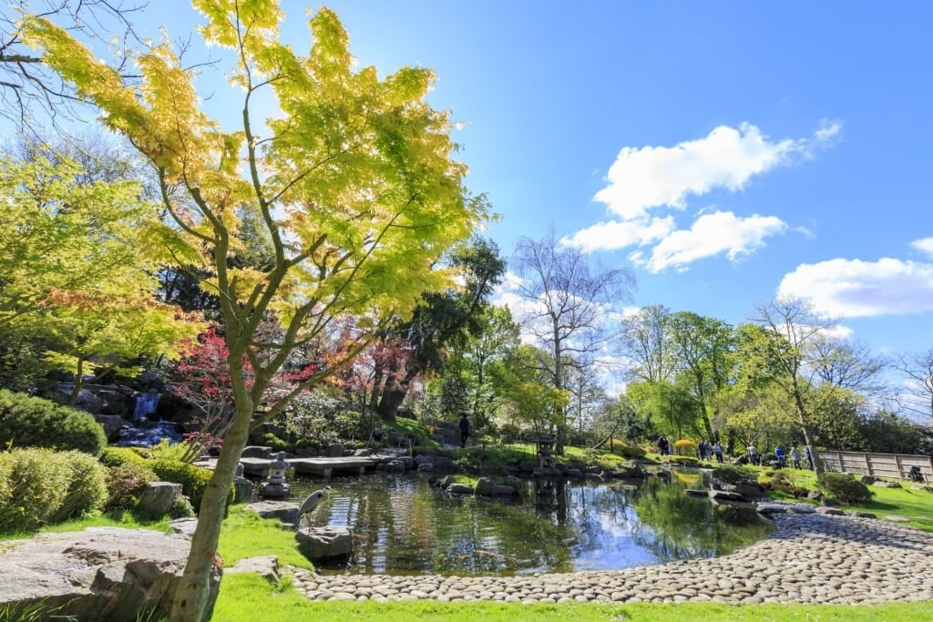 Lush landscape of Holland Park in London, England