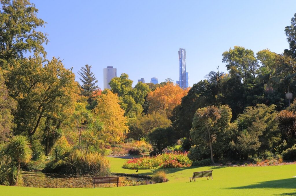 Lush landscape of Royal Botanic Gardens in Melbourne, Australia