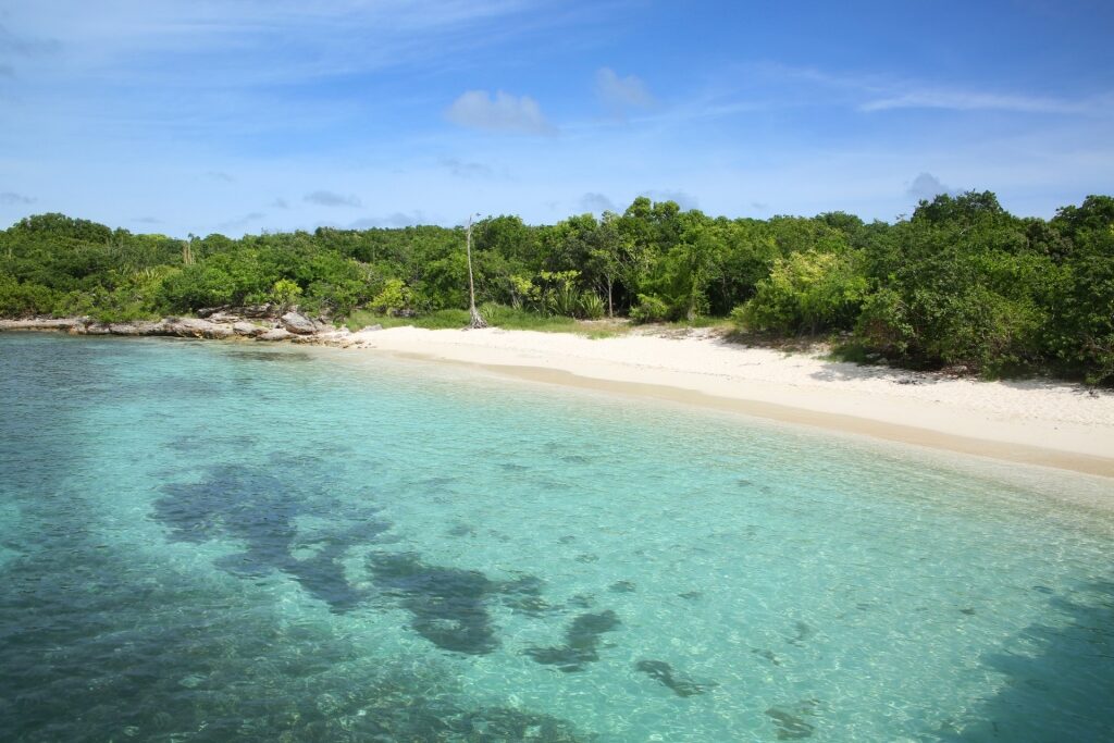 Green Island, one of the best snorkeling in Antigua