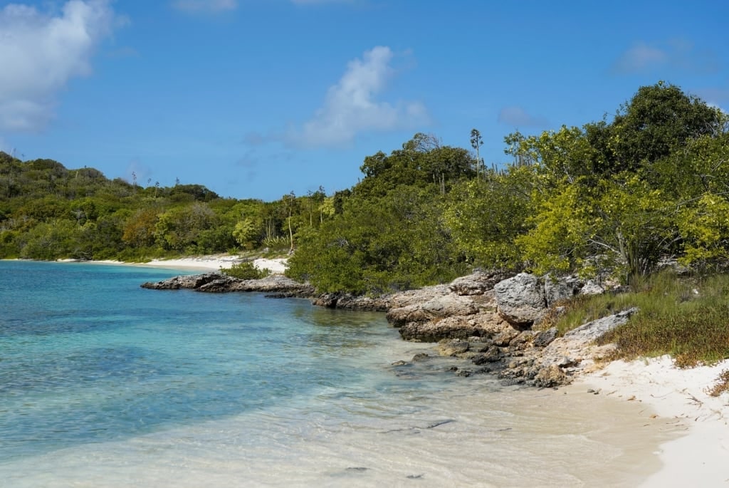 Rocky shore of Green Island