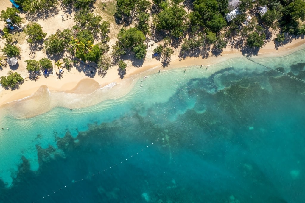 Aerial view of Pigeon Point Beach