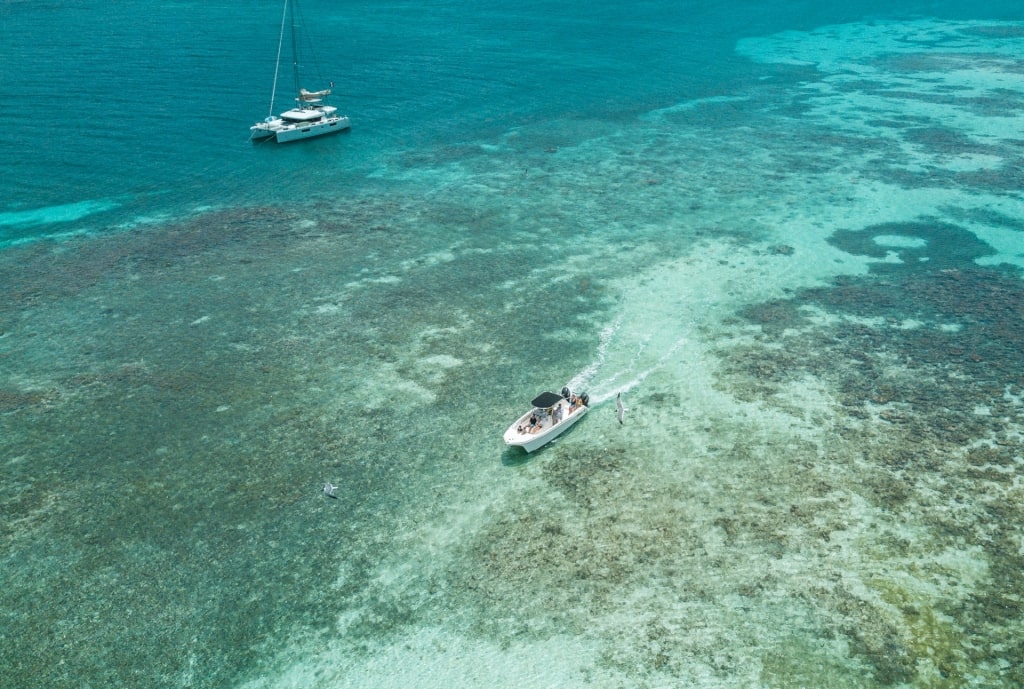 Aerial view of Prickly Pear Island