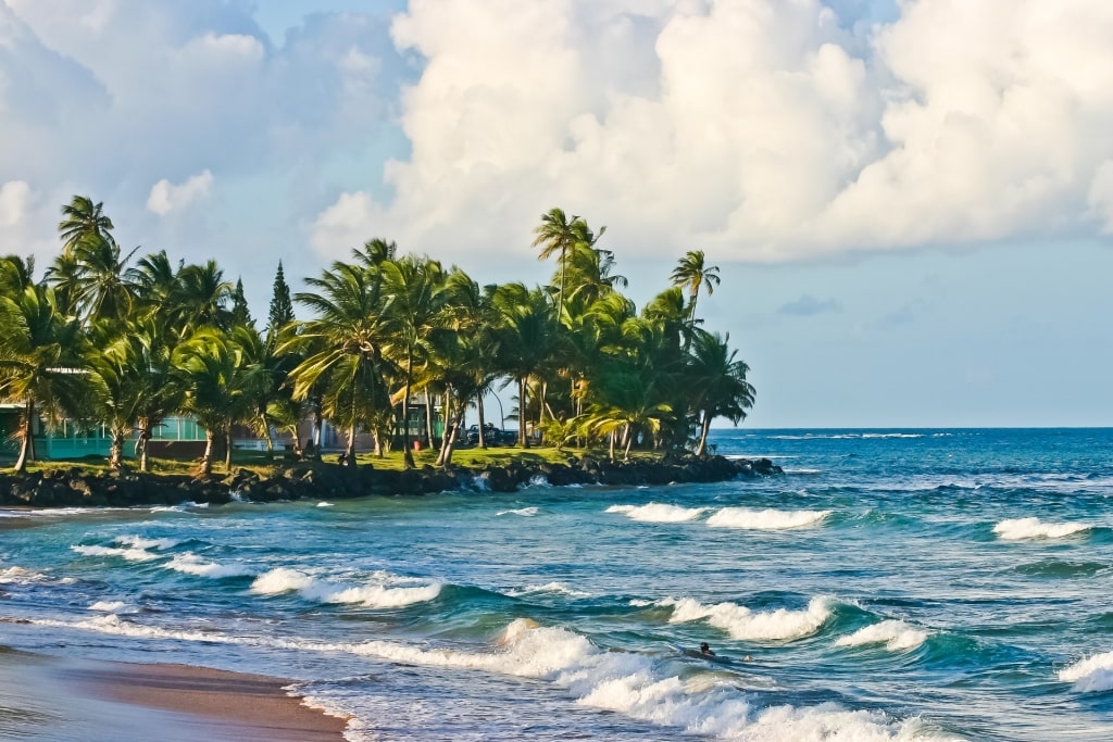 Aviones Beach, one of the best spots for surfing in puerto rico