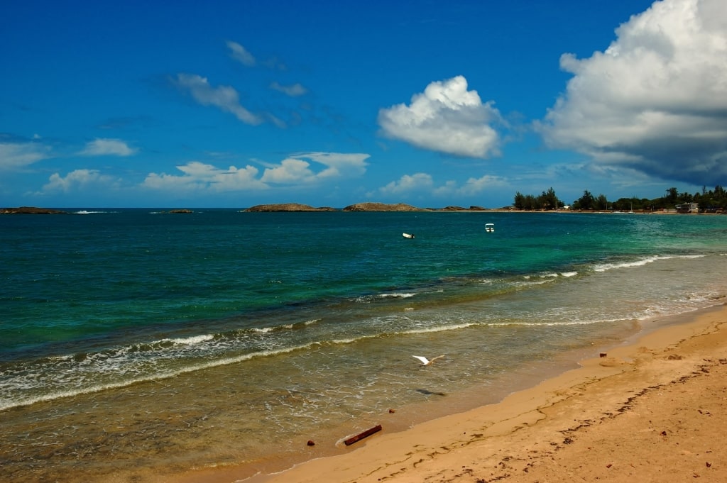 Sandy beach of Playa de Vega