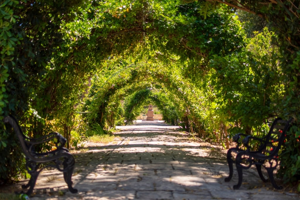 Lush landscape of San Anton Gardens