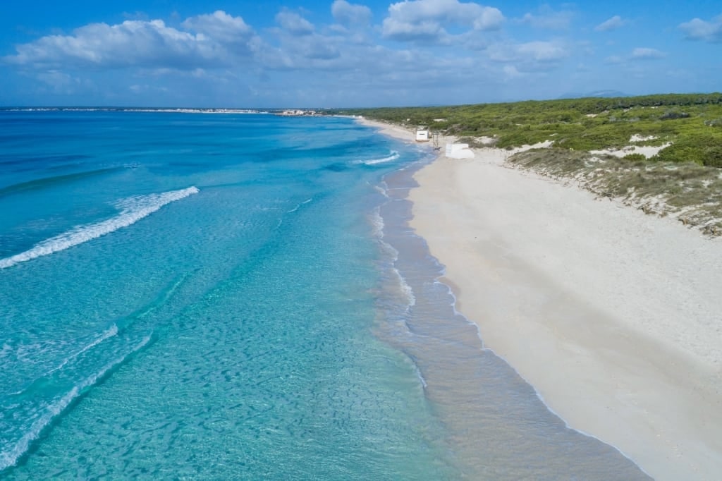 White sands of Es Trenc Beach