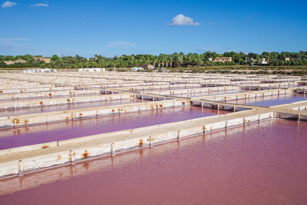 Visit Ses Salines, one of the best things to do in Mallorca