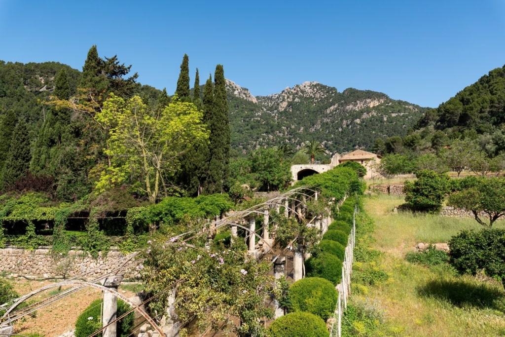 Lush landscape of Jardines de Alfabia