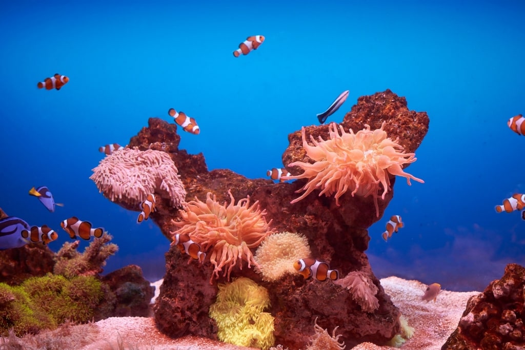 View of Palma Aquarium