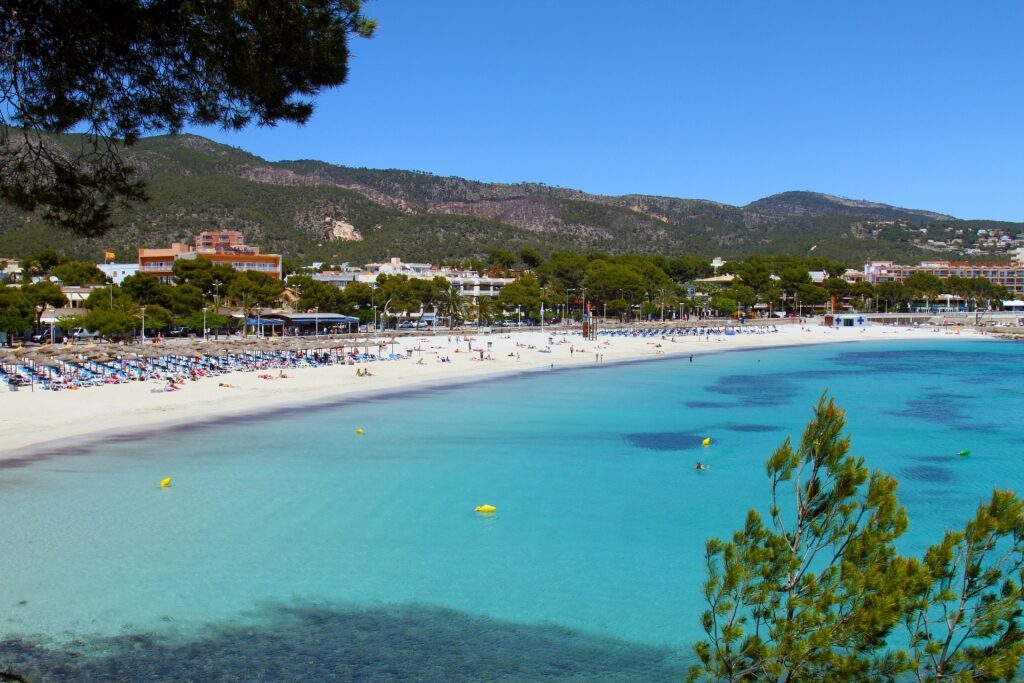 Aerial view of Palma Nova Beach