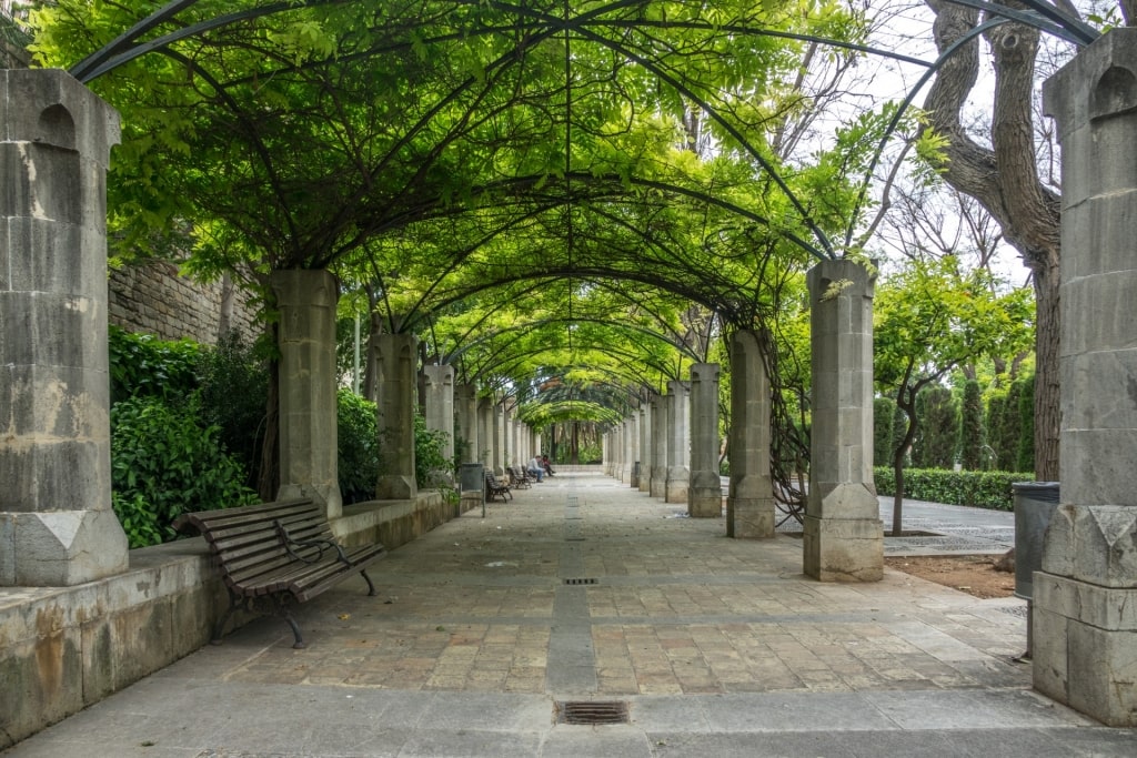 Beautiful landscape of S'Hort del Rei Park