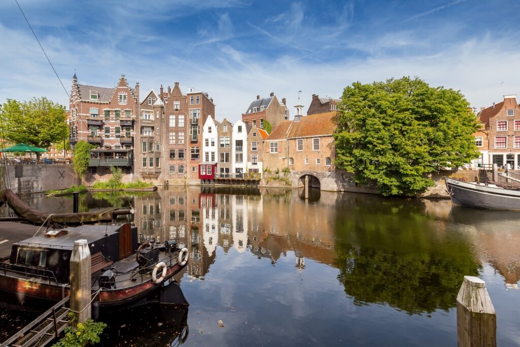 Canals of Rotterdam