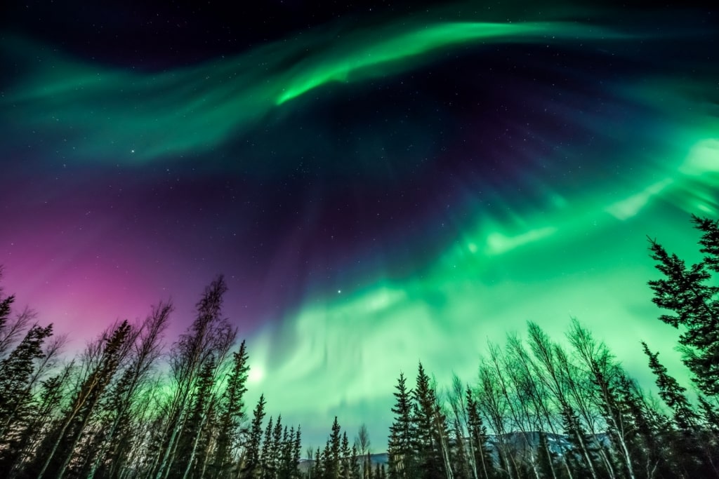 Majestic aurora in Fairbanks, Alaska in September